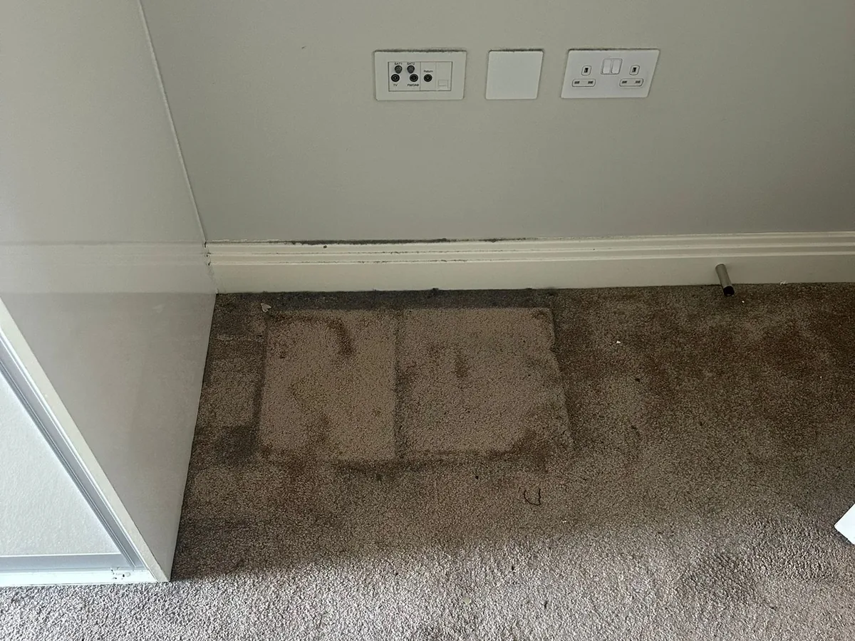 Soiled carpet before professional cleaning